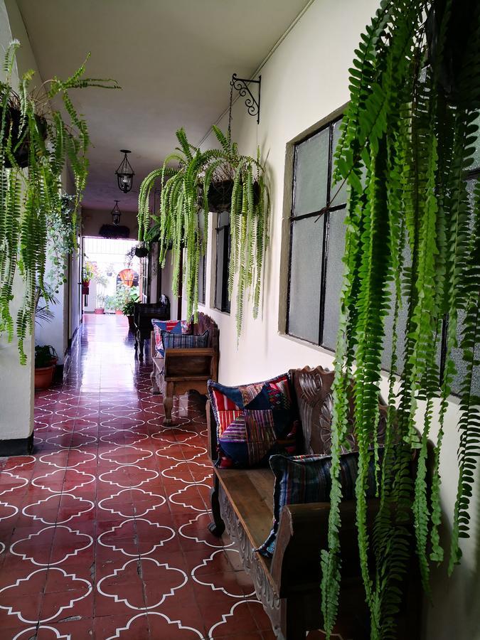 Hospedaje El Viajero Antigua Lli Dış mekan fotoğraf